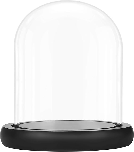 BELLE VOUS Glass Dome Cloche Bell Jar with Black Wooden Base - 17cm/6.69 Inches - Clear Decorative Tabletop Display Case with Tray for Fairy Lights, Centrepieces and Antiques